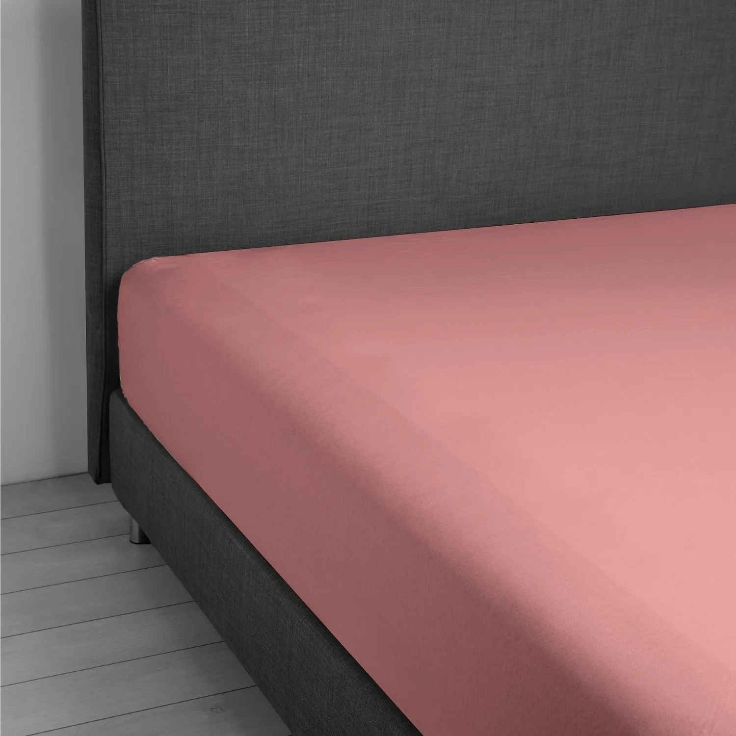 Vivacolor cotton bedsheet