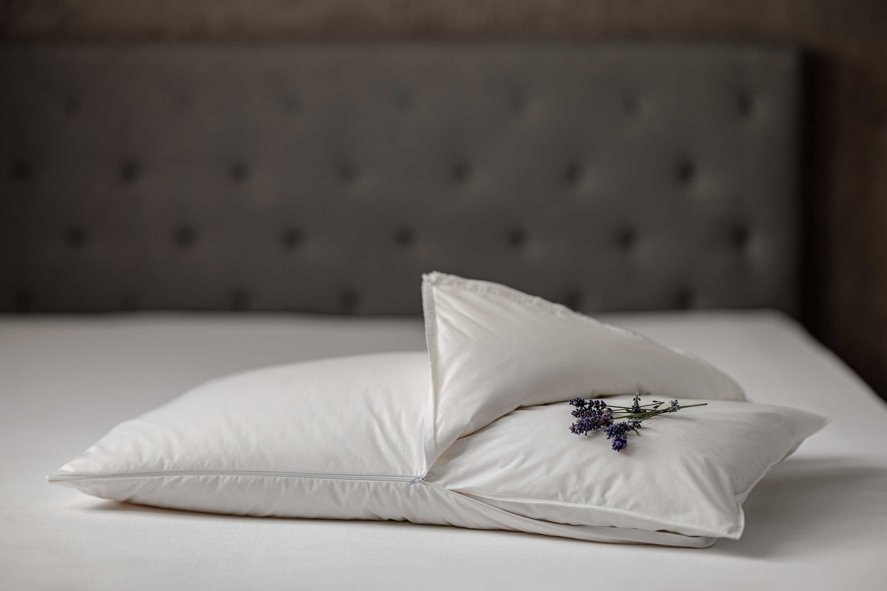 Pillow with inner core Perla Lavanda